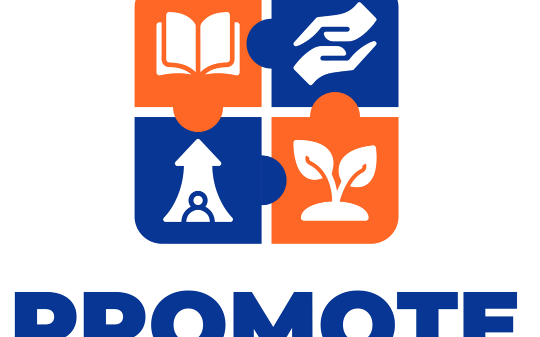 PROMOTE